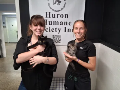 Alpena may partner with HHS, TNR on feral cat program